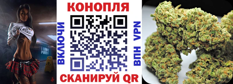 Наркошоп Карачаевск Псилоцибиновые грибы  МАРИХУАНА  A-PVP  Меф  Гашиш  АМФЕТАМИН 